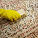 20170127_160232_resized_1