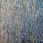 Photo 2016-10-26, 2 20 39 PM