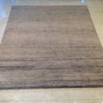 Photo 2017-01-11, 3 25 11 PM